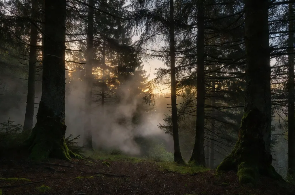 Forêt brumeuse du Doubs au crépuscule, ambiance mystérieuse des légendes comtoises
